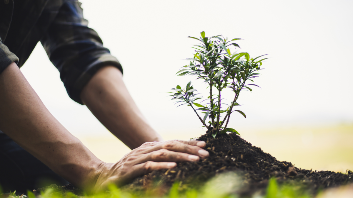 Just as a seed grows into a tree, rehabilitation allows incarcerated individuals to transform their lives. Can Kenya follow Burkina Faso’s lead?