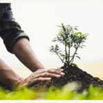 Just as a seed grows into a tree, rehabilitation allows incarcerated individuals to transform their lives. Can Kenya follow Burkina Faso’s lead?