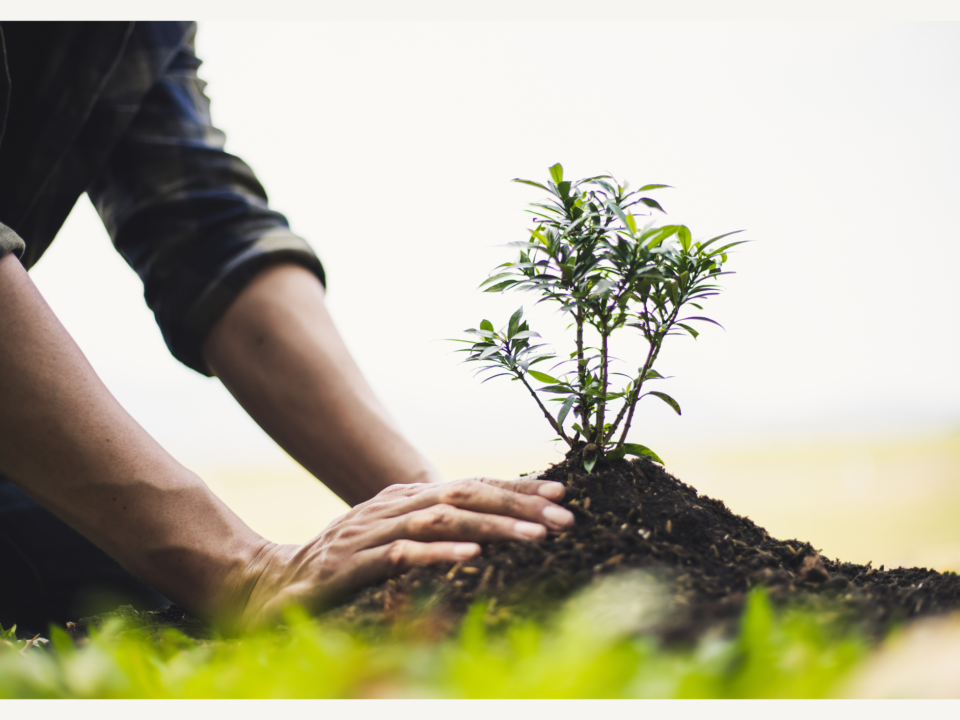 Just as a seed grows into a tree, rehabilitation allows incarcerated individuals to transform their lives. Can Kenya follow Burkina Faso’s lead?