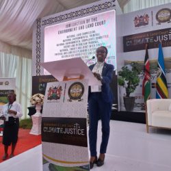 Tom's Post-Release Property Rights Journey Testimonial 2