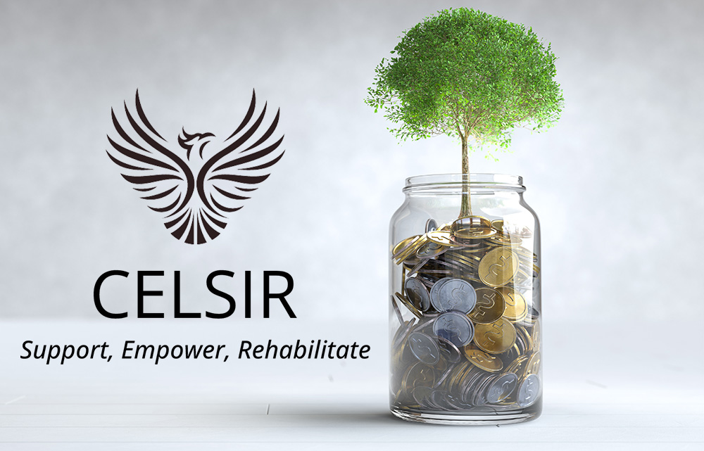 Supporters and partners during a CELSIR event