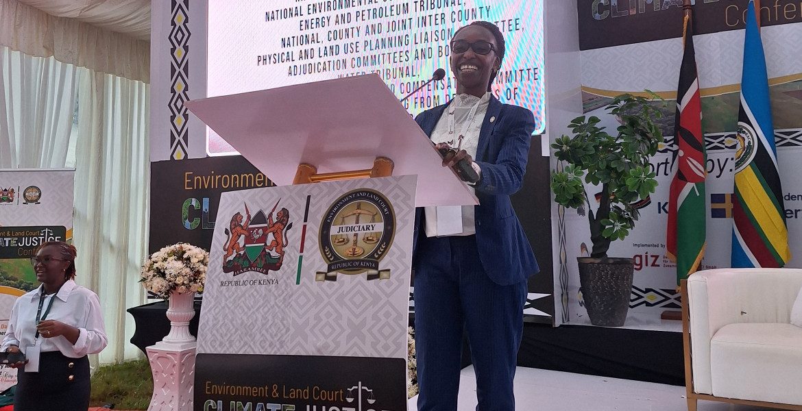 Tom's Post-Release Property Rights Journey Slide 2